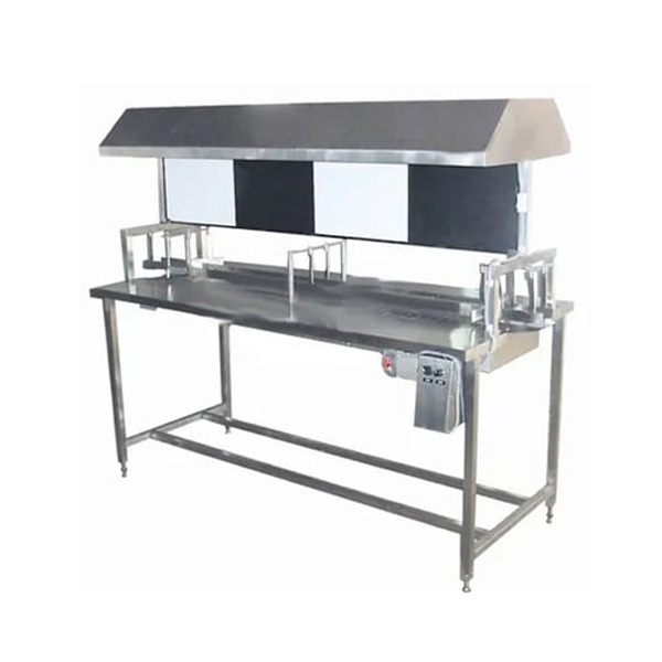 Inspection Conveyor